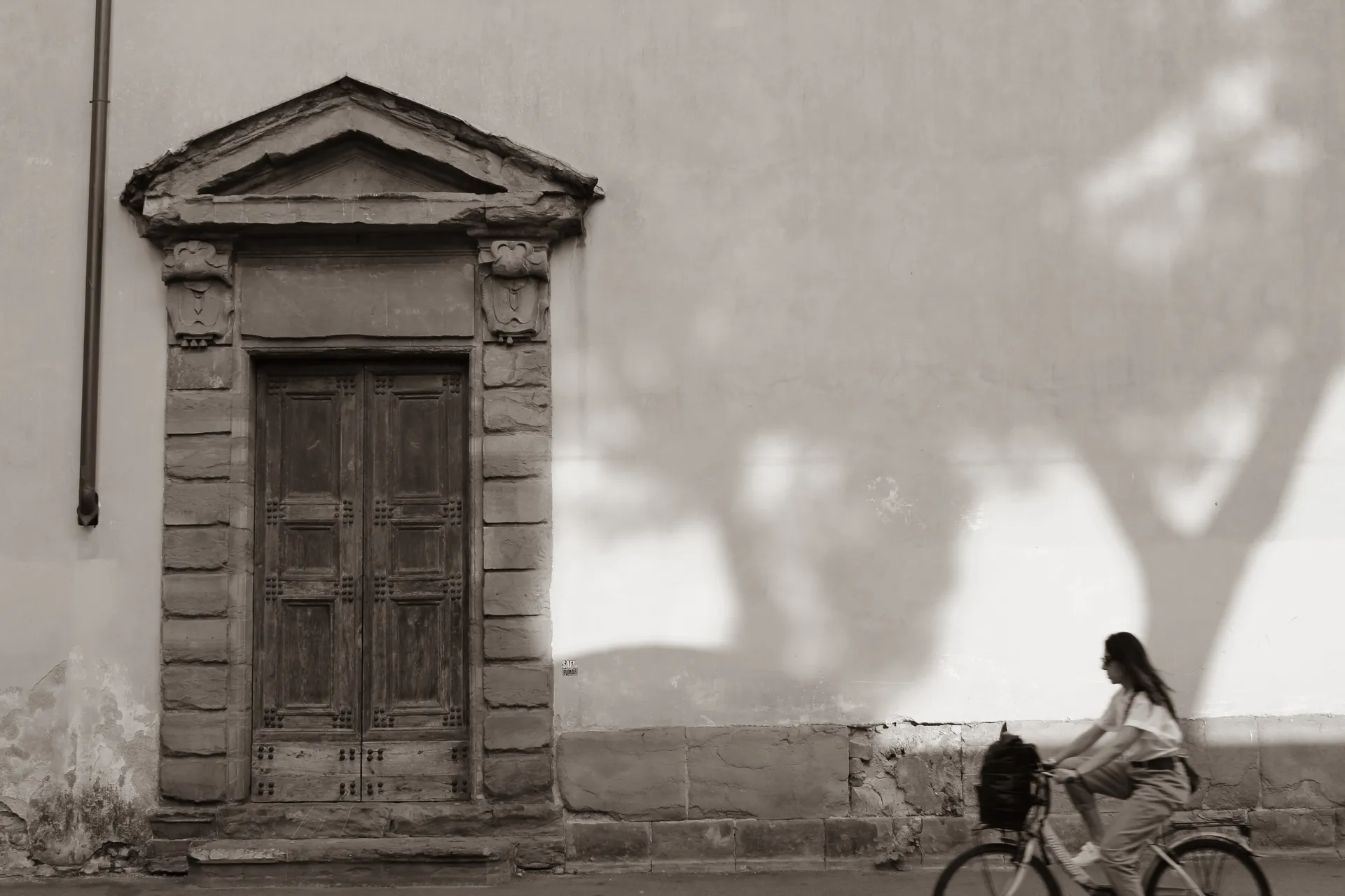 Stillness & Motion III